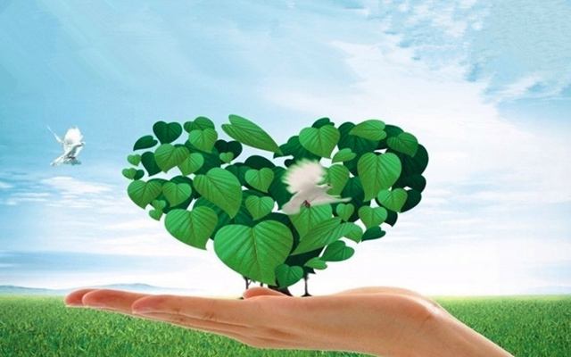 植树4.jpg 植树4.jpg