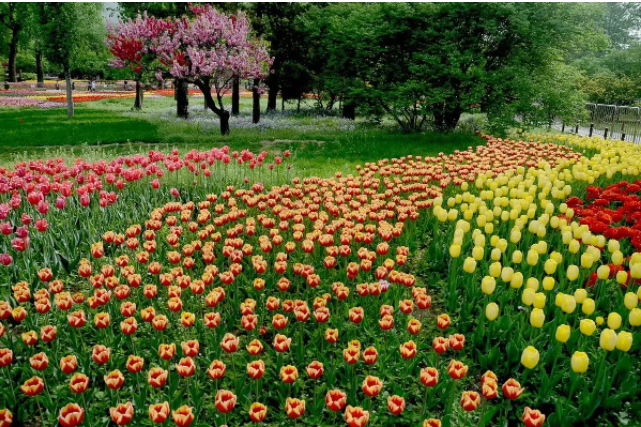 国家植物园7.png 国家植物园7.png