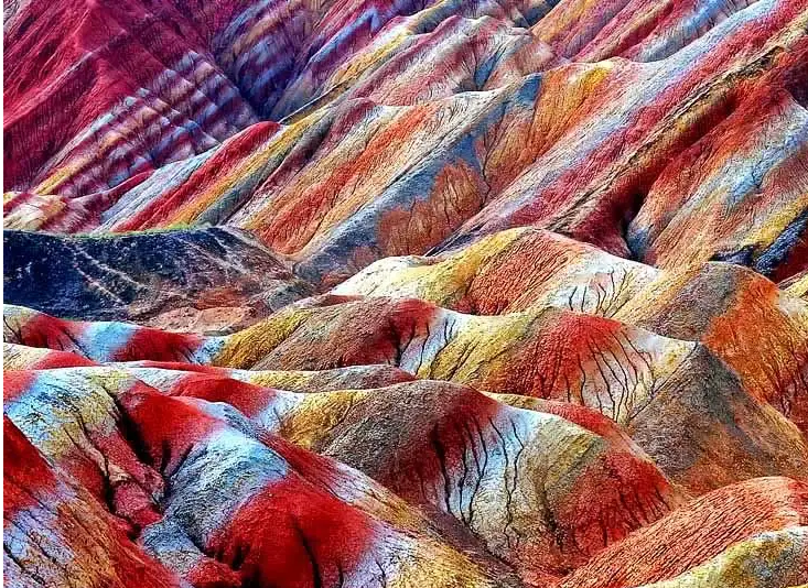 张掖市生.png 张掖市生.png