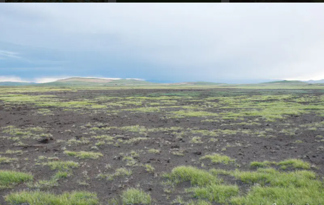 黑土滩.png 黑土滩.png