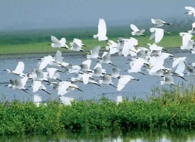 洞庭清波.png 洞庭清波.png