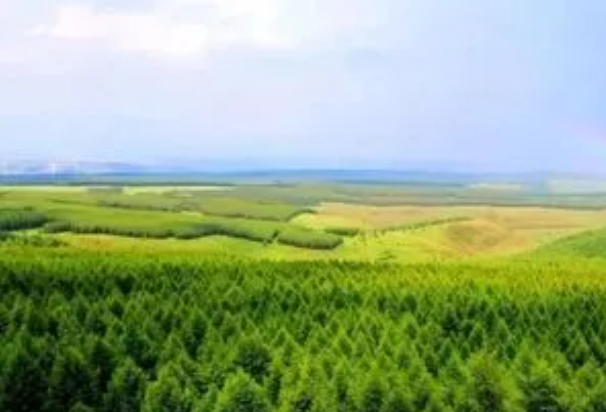 人与自然和谐共生的5.png 人与自然和谐共生的5.png