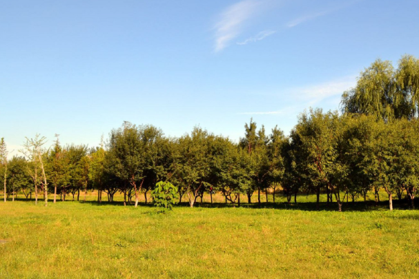 北京奥林匹克森林公园.png 北京奥林匹克森林公园.png