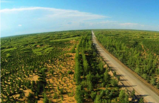 “三北”工程de 2.png