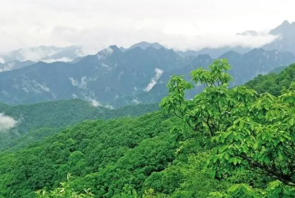 秦岭生态保护.png 秦岭生态保护.png