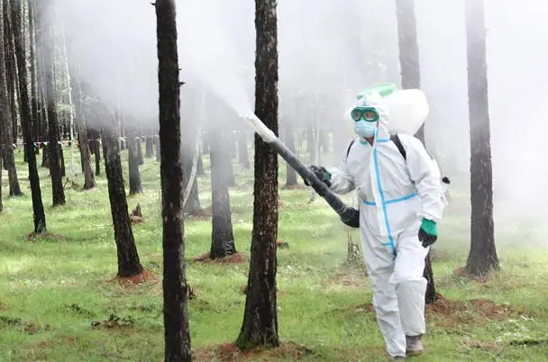有害生物防治现场.png