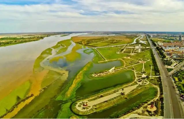 宁夏惠农区.png 宁夏惠农区.png