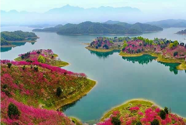 武宁样板:山更青 权更活 民更富
