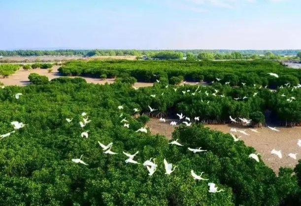 “绿美广东”.png “绿美广东”.png