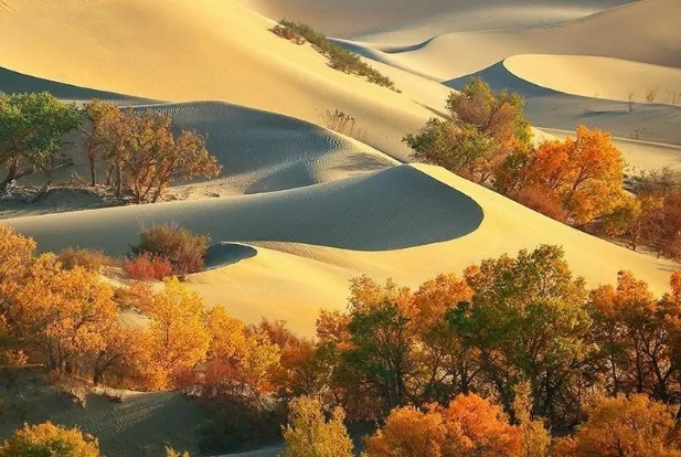 塔克拉玛干沙漠22.png 塔克拉玛干沙漠22.png