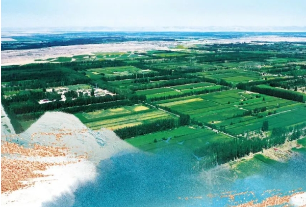 黄河“几字弯”攻坚战.png 黄河“几字弯”攻坚战.png