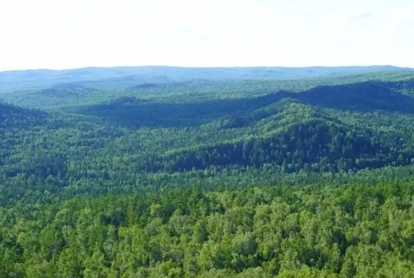 小兴安岭1.png 小兴安岭1.png