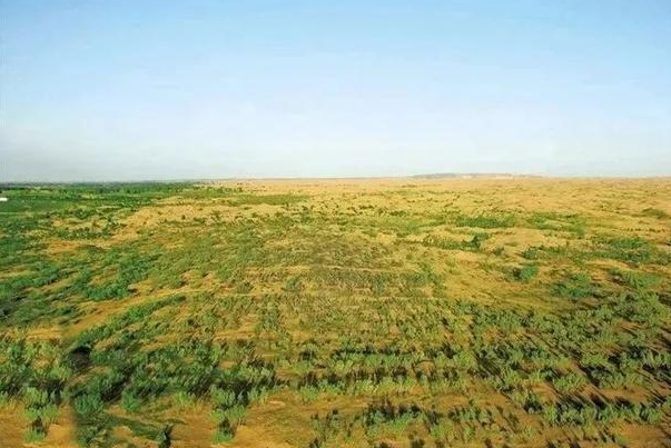 林草湿荒.png 林草湿荒.png