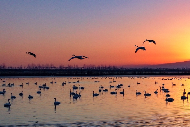 陕西40%以上的湿地.png 陕西40%以上的湿地.png