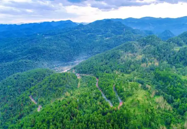 国家储备林.png 国家储备林.png