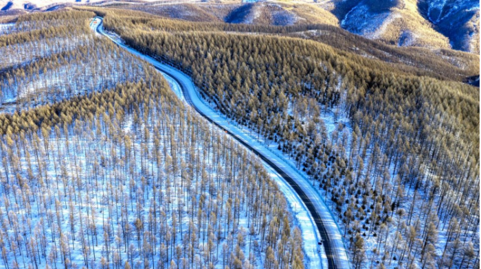 冰雪覆盖下的塞罕坝百万亩林海 林.png 冰雪覆盖下的塞罕坝百万亩林海 林.png