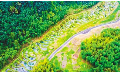 重庆.png 重庆.png