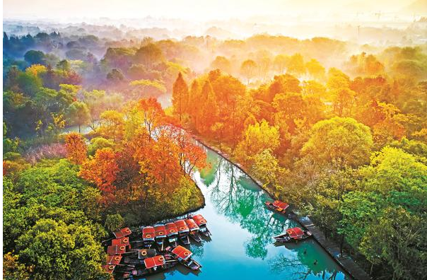 杭州西溪国家湿地公园 杭州市林业水利局供图.png 杭州西溪国家湿地公园 杭州市林业水利局供图.png