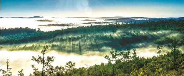 莫尔道嘎国家森林公园.png 莫尔道嘎国家森林公园.png