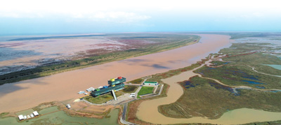 黄河三角洲.jpg 黄河三角洲.jpg