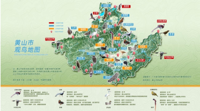 安徽省黄山市观鸟地图.png