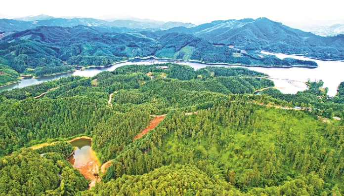 融安县西山林场有8万多亩林地.png 融安县西山林场有8万多亩林地.png