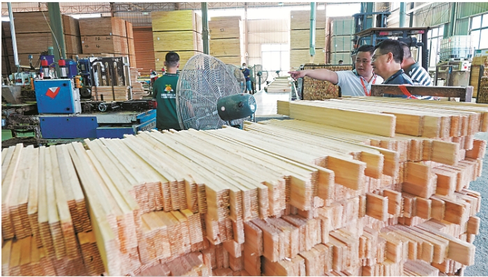 融安县大森林木.png 融安县大森林木.png