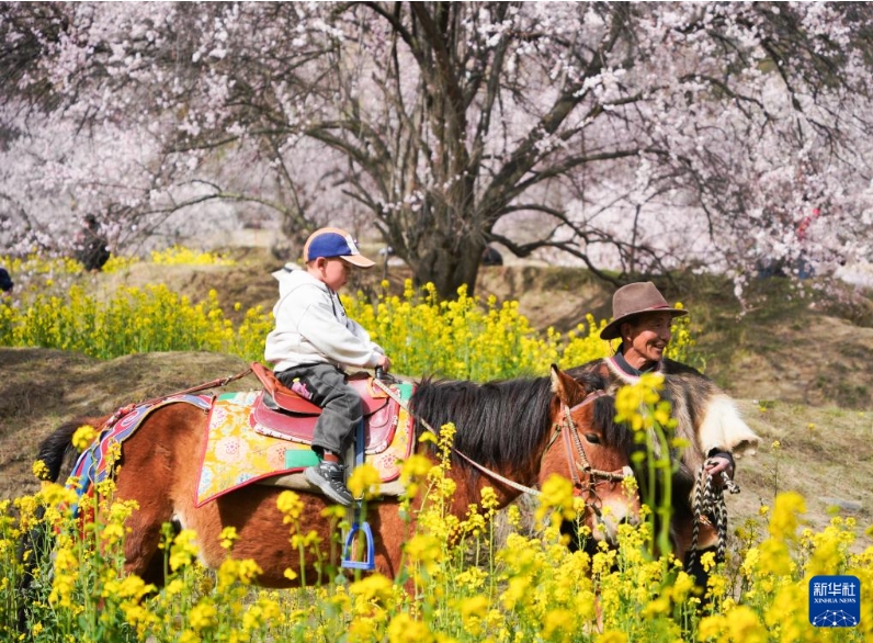 3月29日,游.png 3月29日,游.png