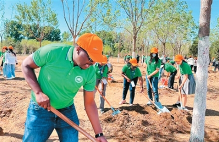 中外青年在北京市丰台区怪村郊野公园种植“友谊林”.png
