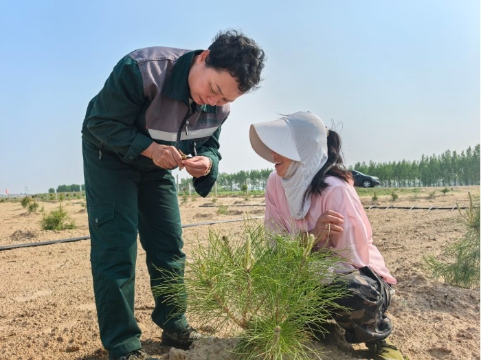在国有阜新蒙古族自治县王府林场,.png 在国有阜新蒙古族自治县王府林场,.png