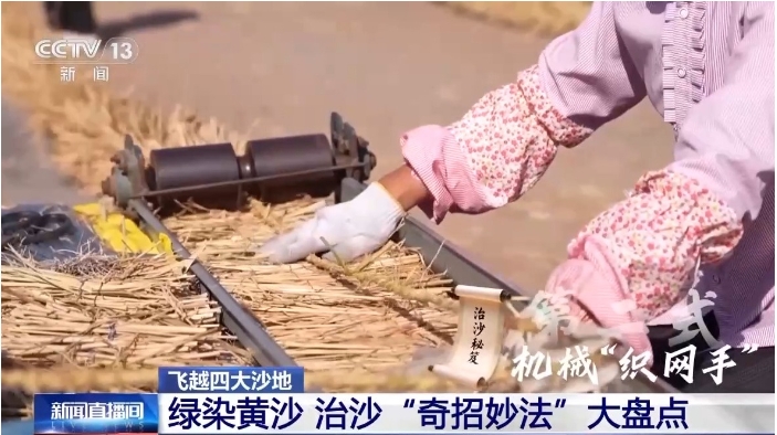 刷状网绳沙障”由机器编织.png