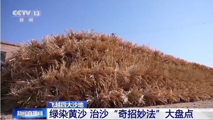 其覆盖沙丘后.png