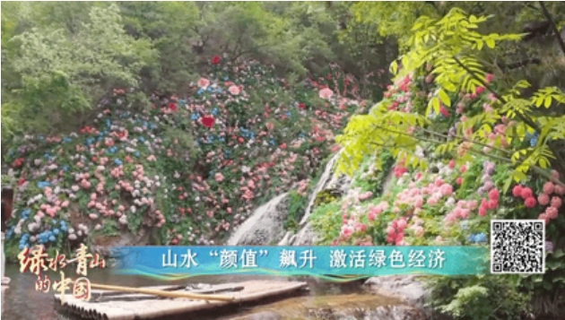 00后村民牛蔚葆，.png