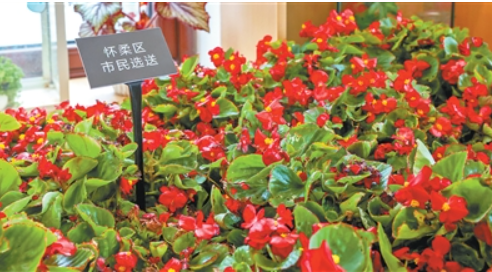 “千家万盆鲜花祝福祖国”.png