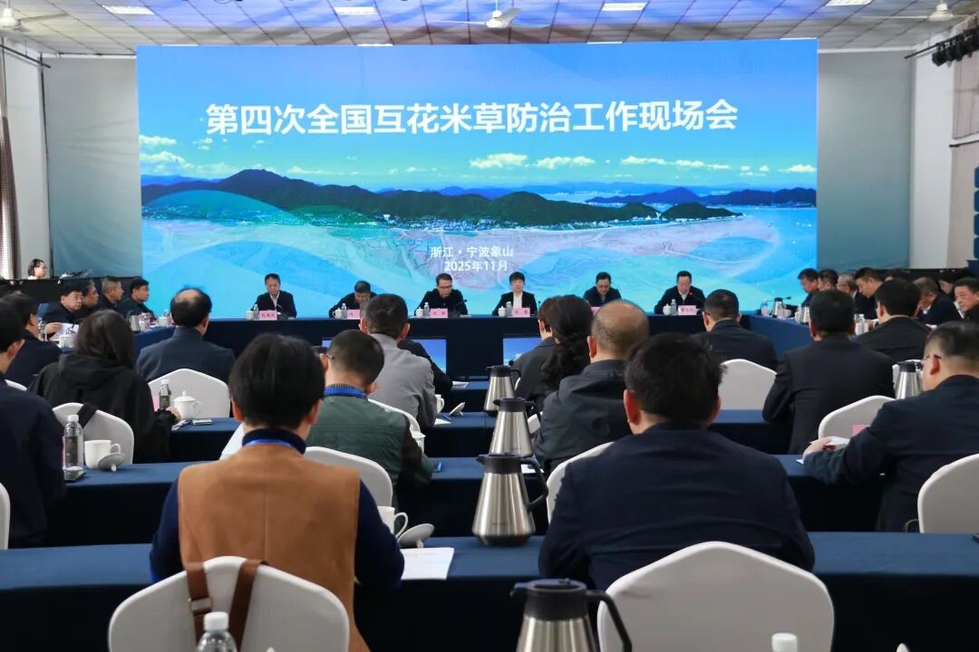 会议现场 （果叮.jpg