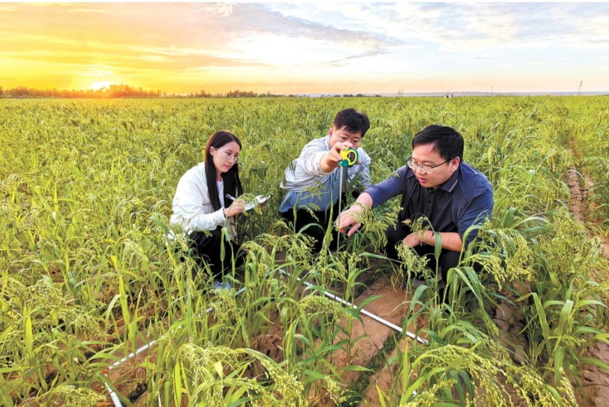 李伟副研究员(右)带.png 李伟副研究员(右)带.png