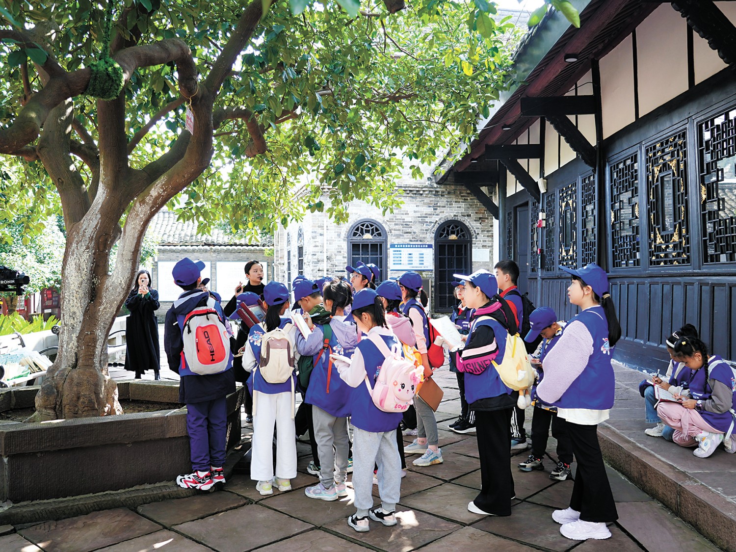 小记者古树名木保护活动 重.jpg