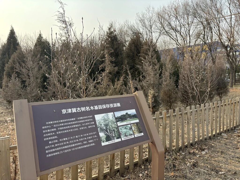 1月28日，北京市园林绿化科学研究.jpg
