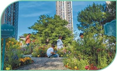 北京市通州区紫荆雅园社区微花园.jpg