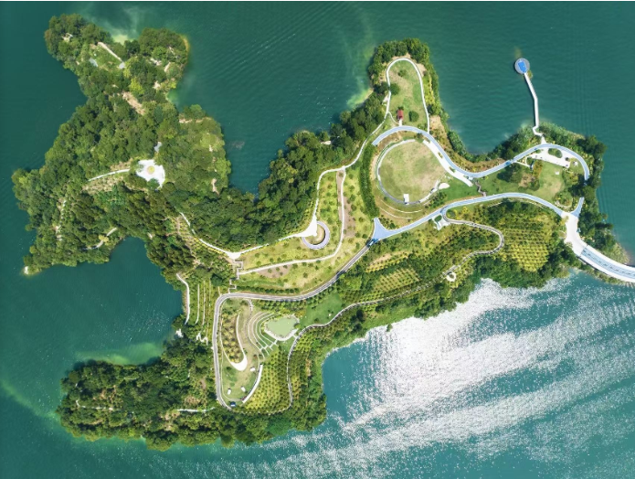 高空俯瞰，千岛湖植物园所在的.png