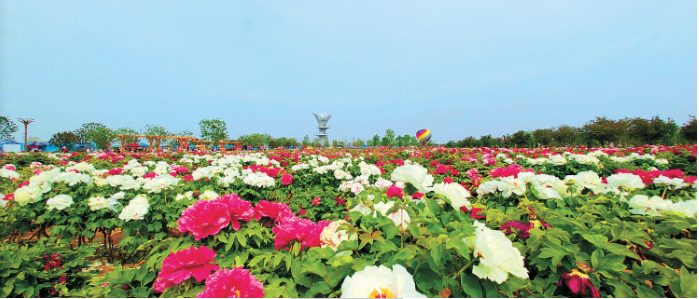 菏泽冠宇牡丹园.png