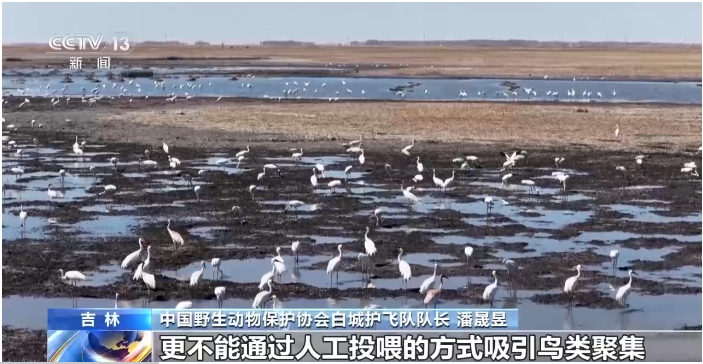 中国野生动物保护协会白城护飞队队长 潘晟昱.png