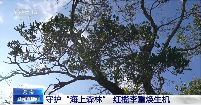 记者跟随科研人员往深处走.png 记者跟随科研人员往深处走.png